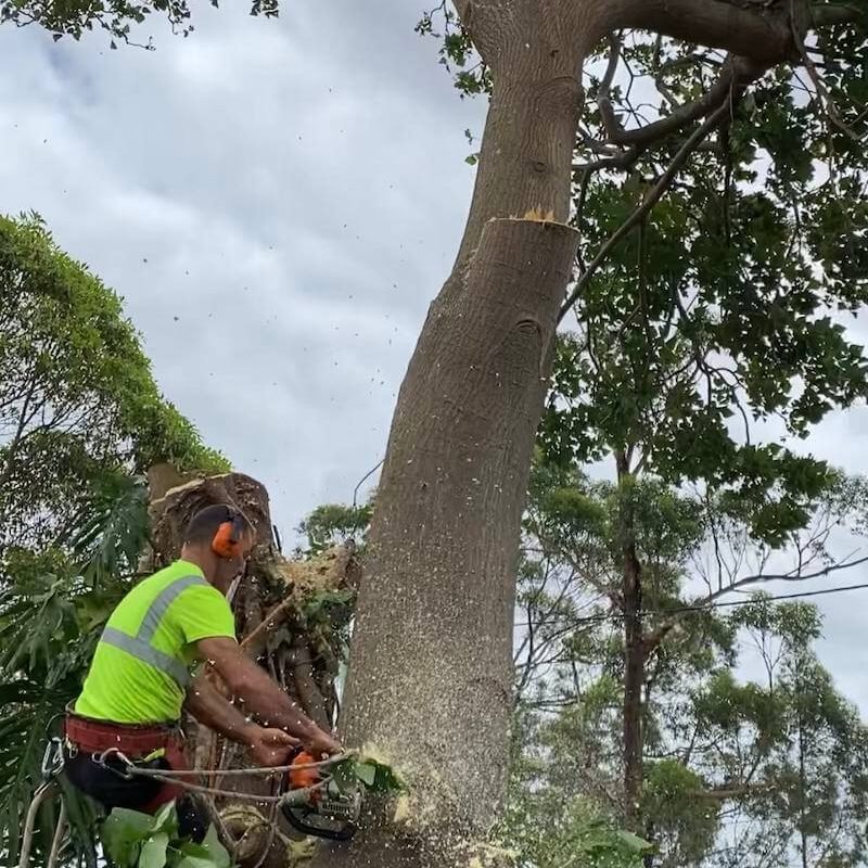 excavation contractors | Farache Group