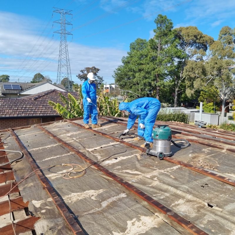 asbestos removal services