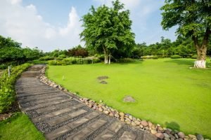 landscaping – house & commercial | Farache Group landscaping - house & commercial | Farache Group