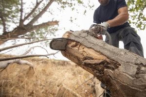 Home Demolition | Farache Group Home Demolition | Farache Group